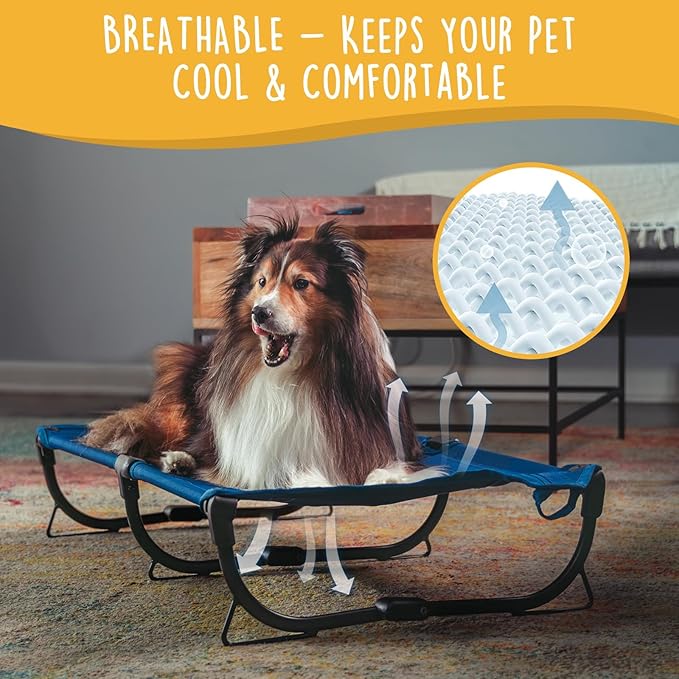 Daisy Cot, Medium Foldable Elevated Dog Bed, Portable Raised Outdoor Folding Dog Cot, Cooling, Chew Proof, Waterproof, Heavy Duty Up to 160 Lbs for Camping/Home, Dark Blue, 32"x 19"x6"-PawvioPets