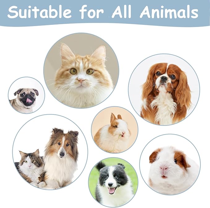 Cat Brushes for Indoor Cats, Dog Brush for Shedding with Metal Cat Comb, Self Cleaning Pet Hair Brush with Release Button for Grooming Kitten(Dark Grey)-PawvioPets