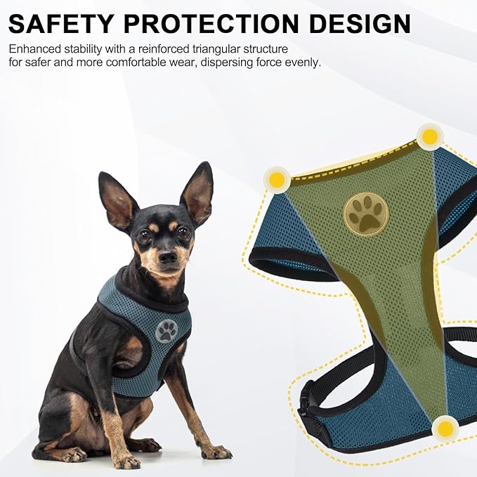 BINGPET Small Dog Harness - Breathable Mesh Puppy Cat Harnesses - No Pull Adjustable Dog Harness Dog Vest Harness for Small and Medium Dogs-PawvioPets