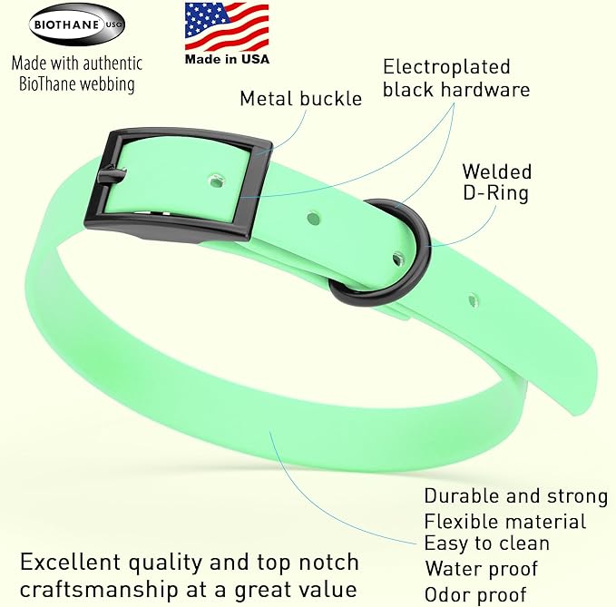 Dogline Biothane Waterproof Dog Collar Strong Coated Nylon Webbing with Black Hardware Odor- Proof for Easy Care Easy to Clean High Performance Fits Small Medium or Large Dogs, Sea Foam Green-PawvioPets