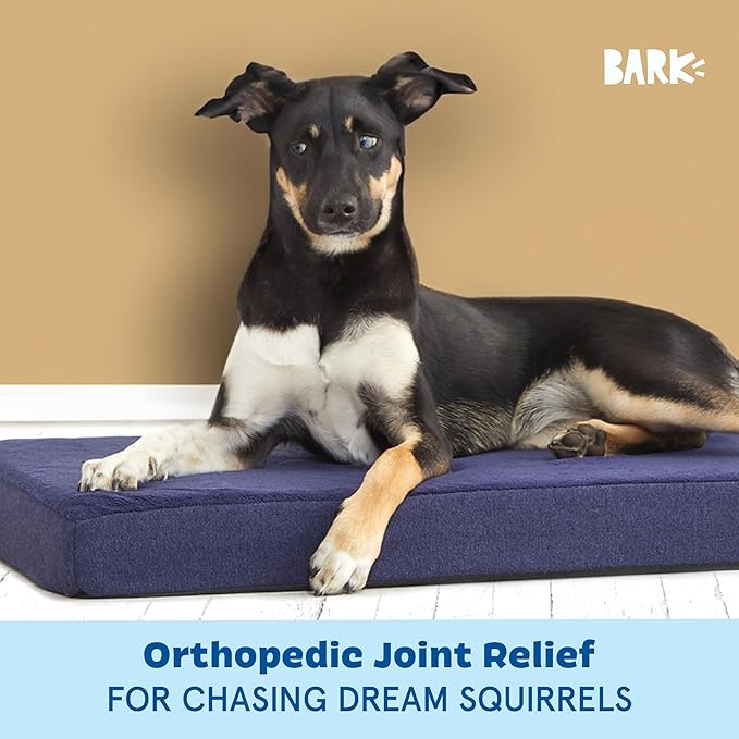 Barkbox Orthopedic Dog Bed with Memory Foam, Premium Comfort for Dogs and Puppies, Dog Bed for Joint Relief and Restful Sleep, Durable and Easy to Clean - Navy, Medium-PawvioPets