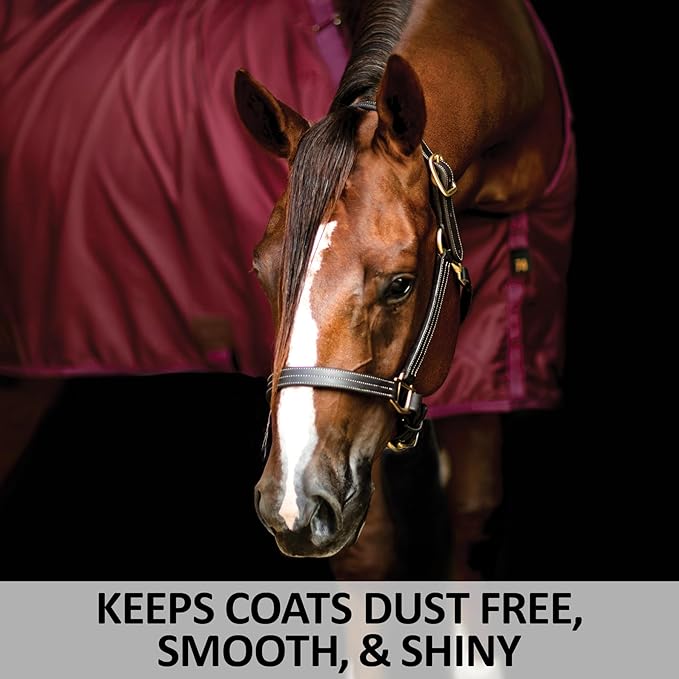 Dura-Nylon Horse Stable Sheet | Ultimate Comfort & Protection Horse Sheet | Keeps Coats Smooth & Shiny-PawvioPets