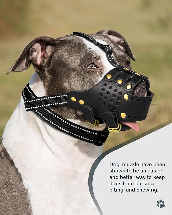 Dog Muzzle, Leather Basket Soft Muzzles Medium Large Breeds, Pitbull Dog Muzzle Amstaff Staffordshire Terrier, German Shepherd Dalmatian Doberman Adjustable (XL)-PawvioPets