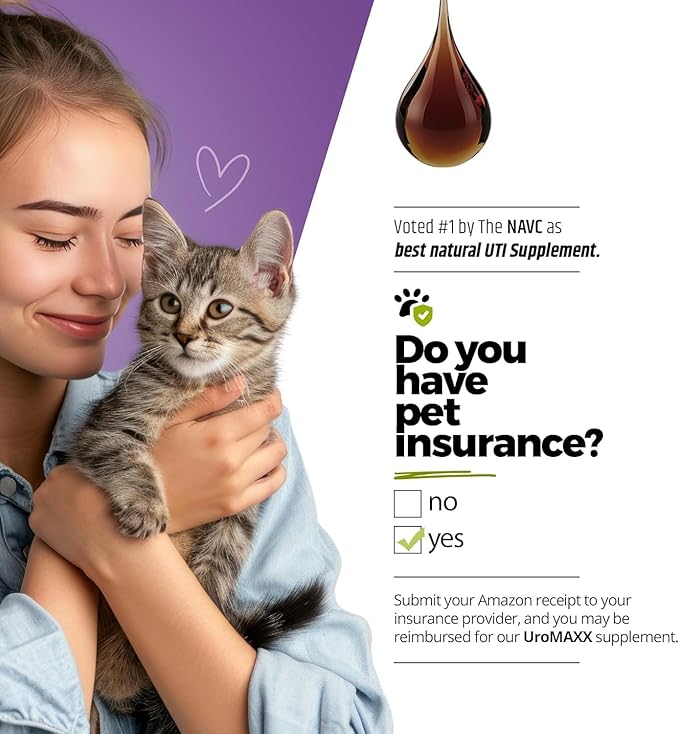 Cat & Dog Urinary Tract Treatment, Bladder & Kidney Support for Dogs and Cats, Powerful Yet Gentle Pet Care, with Liquid Cranberry & Glucosamine, Salmon Flavor, 6 oz Bottle, 2 Pack-PawvioPets