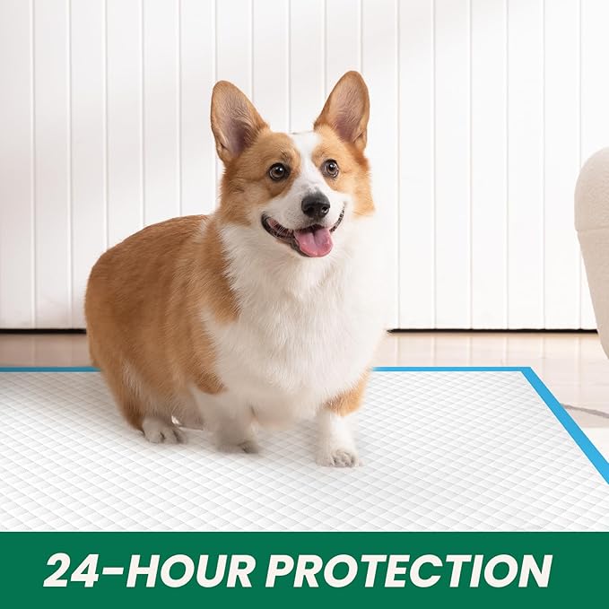 100 Count Large Dog & Cat Puppy Pee Pads - 28"x30" Absorbent Potty Training Pads | Leakproof Quick-Dry Disposable Pet Pads for Puppies, Dogs & Cats | Indoor, Outdoor, Litter Box, Housebreaking Use-PawvioPets
