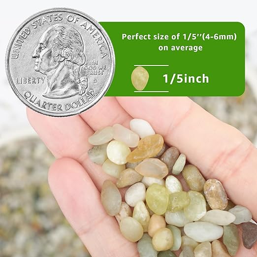 5 LBS Decorative Jade Stones – Ideal for Succulent Cactus Plants, Vase Fillers, Fish Tanks, and Landscaping Projects. 1/5 Inch Stones Promote Healthy Plant Growth (Jade, 5 Pounds)-PawvioPets