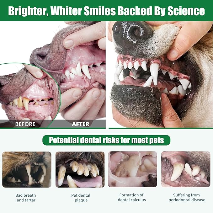 Dog Dental Powder - Dog Teeth Cleaning Powder,Pet Breath Freshener for Teeth Cleaning,Tartar Remover & Reduces Plaque & Bad Breath,Dental Care Supplies for Dogs Cat-Beef Flavor 50g-PawvioPets