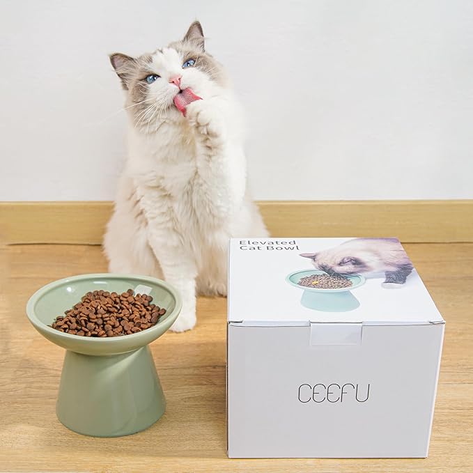 Extra Wide Elevated Ceramic Cat Bowl, 6.2" Shallow Dish for Whisker Fatigue Relief, 5" Height for Easy Feeding, Durable Raised Cat Food Bowls, Pack of 2, Sage Green-PawvioPets