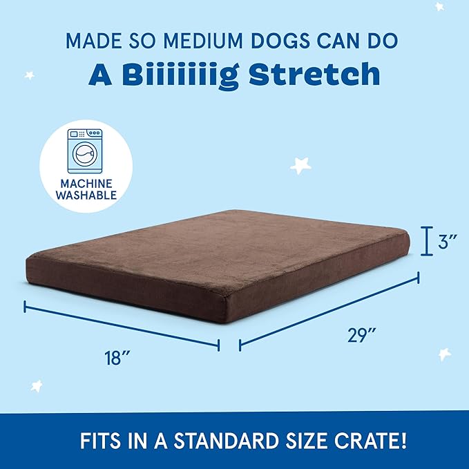 Barkbox Orthopedic Dog Bed with Memory Foam, Premium Comfort for Dogs and Puppies, Dog Bed for Joint Relief and Restful Sleep, Durable and Easy to Clean - Espresso, Medium-PawvioPets