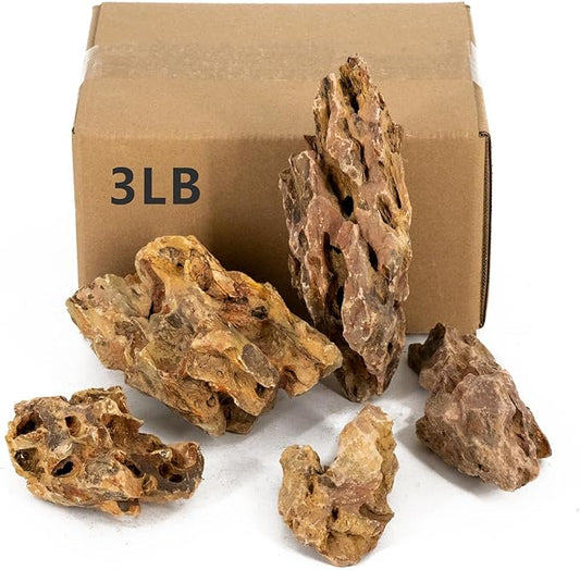 Aquariums Stones Natural Rocks 3Lb Aquarium Rock for Fish Tank Aquascaping,Aquariums,Terrariums,Vivariums,Decorative Stone,Reptile Enclosures,Paludariums,and Gardens-（2-5 Inch）-PawvioPets