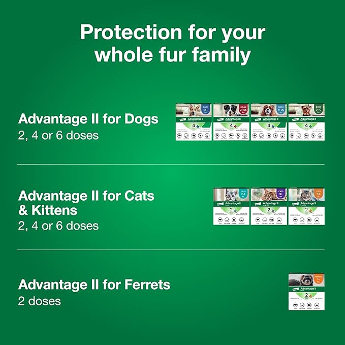 Advantage II Small Cat Vet-Recommended Flea Treatment & Prevention | Cats 5-9 lbs. | 8-Month Supply-PawvioPets