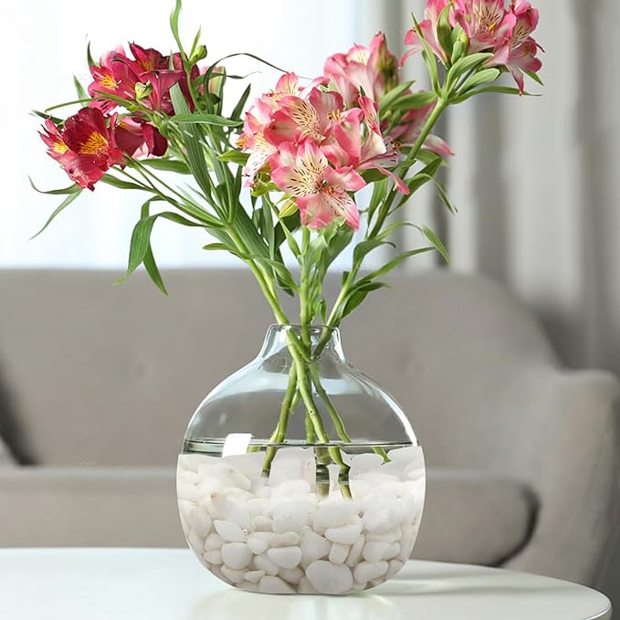 5 lbs White Pebbles for Indoor Plants, 3/8 Inch Decorative White Gravel, Polished River Rocks for Potted Plants Vase Cactus Bird Bath and Outdoor Garden Landscaping-PawvioPets