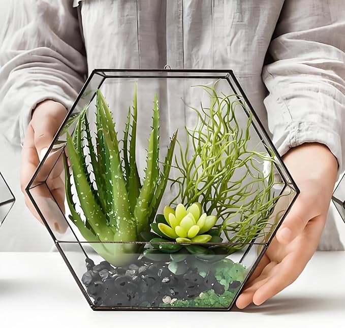 Black Pebbles - 3/8 inch Small Stones for Indoor Plants, Succulents, Aquariums & Landscaping-PawvioPets