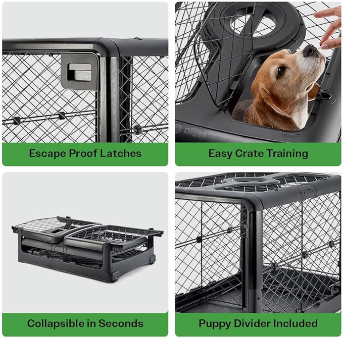 DIGGS Revol Collapsible Dog Crate with Wheels - Premium Portable Dog Crate - Safe, Stylish, and Convenient Indoor Kennel (Charcoal, Medium)-PawvioPets