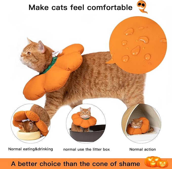 Cat Cone Collar,Cute Waterproof Cat Recovery Collar,Anti-Bite Lick Wound Healing Safety Elizabethan e Collar for Cats,Orange Pumpkin Cat Halloween Costume-PawvioPets