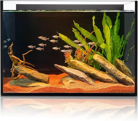 6 Gallon Glass Fish Tank, Small Aquarium Fish Bowl Cube for Betta Goldfish Snails Shrimp Aquatic Planting, Easy to Maintain Ultra Clear Rimless Design 5 Gallons Low Iron-PawvioPets