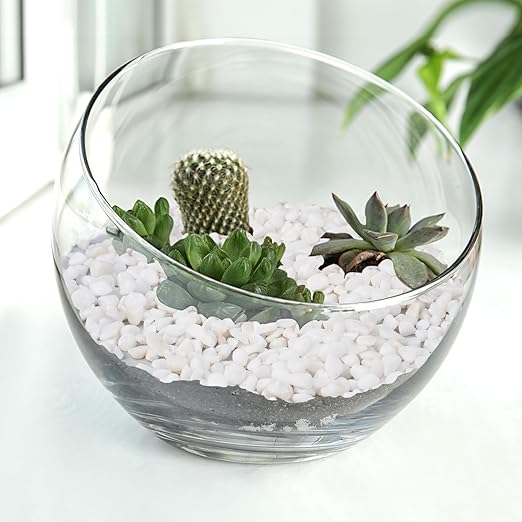 5 lbs White Aquarium Gravel, 1/5 Inch White Rocks for Plants, Small Pebbles for Vases, Succulents, Bamboo, Natural Decorative Pebbles for Plants Drainage, Cactus, Crafts-PawvioPets
