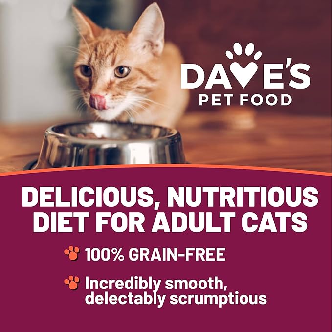 Dave's Pet Food Grain Free Wet Canned Cat Food Pate (Gobblicious Gourmet), Made in USA Naturally Healthy, Added Vitamins & Minerals, 5.5 oz Cans (24 Pack)-PawvioPets