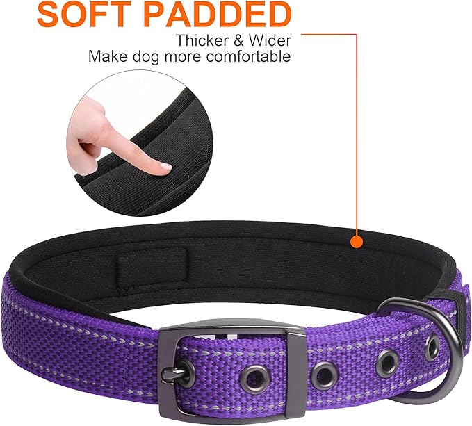 Fida Heavy Duty Dog Collar, Ultra Comfortable Soft Neoprene Padded, Adjustable Reflective Nylon Pet Collar with Durable Metal Belt Buckle for Large Breeds (L, Purple)-PawvioPets