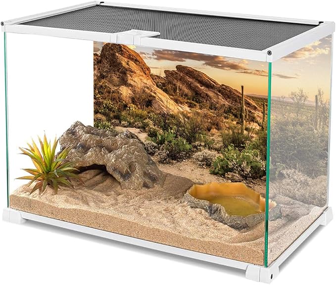 AWERT Reptile Habitat Background Blue Sky Oasis Cactus Sun and Desert Terrarium Background 72x24 inches Durable Polyester Background-PawvioPets
