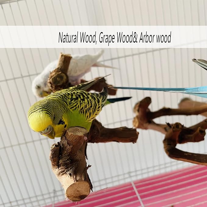 Allazone 5 PCS Natural Wooden Parrot Stand Bird Perch Stand Grape Stick Hanging Multi Branch Perch for Parrots, Bird Cage Accessories-PawvioPets