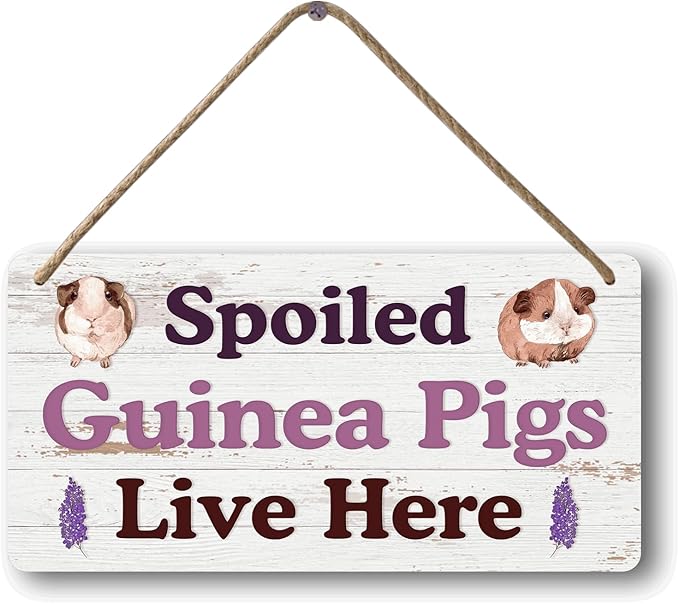 Big Hamster Ball & Guinea Pig Hideout - Stuffed Animals & Accessories for Guinea Pig Cage - 12x6 In Wooden Sign-PawvioPets