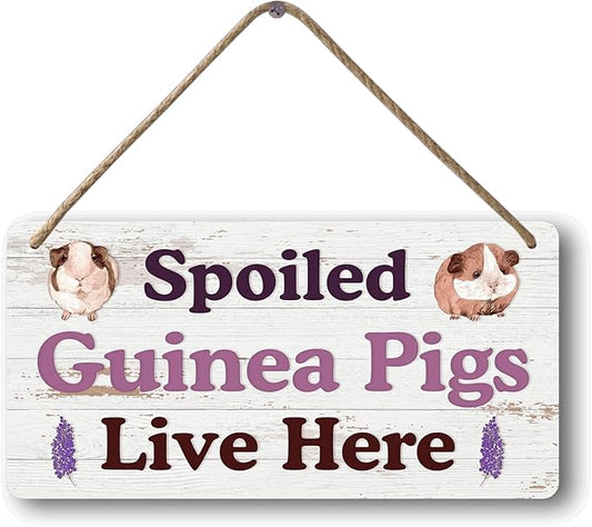 Big Hamster Ball & Guinea Pig Hideout - Stuffed Animals & Accessories for Guinea Pig Cage - 12x6 In Wooden Sign-PawvioPets