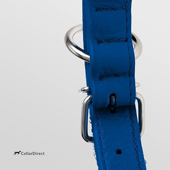 CollarDirect Rolled Leather Dog Collar, Soft Padded Round Puppy Collar, Handmade Genuine Leather Collar Dog Small Large Cat Collars 13 Colors (15-19 Inch, Deep Blue Textured)-PawvioPets