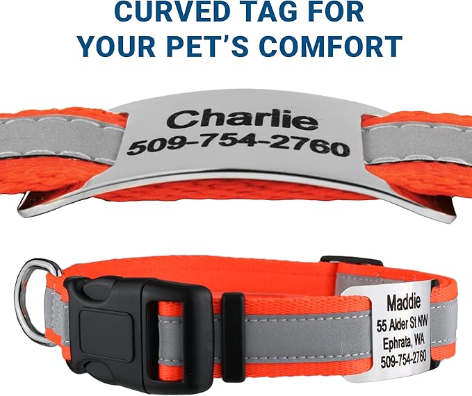GoTags Reflective Personalized Dog Collar with Nameplate, Adjustable Dog Collar with Custom Engraved Steel Slide On Pet ID Tag, Silent, No Noise Dog Tag for Large Medium or Small (Orange, Small)-PawvioPets