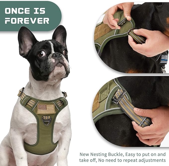 BUMBIN Tactical Dog Harness for Small Dogs No Pull, Famous TIK Tok No Pull Puppy Harness, Fit Smart Reflective Pet Walking Harness for Training, Adjustable Dog Vest Harness with Handle Green S-PawvioPets