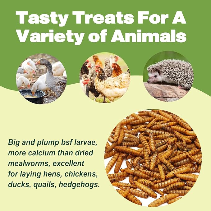 22LB Dried Black Soldier Fly Larvae, 2 Pack of 11 LBS, 86X Calcium Than Dried Mealworms, High Protein Non-GMO Organic Chicken Feed-PawvioPets