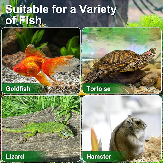 4pcs Mini Fish Tank: Portable Handheld Fish Tank Lightweight Aquarium Mini Portable Snail Terrarium Crabs Habitat for Shrimp Turtle Shrimp Goldfish Beach Toys Plastic (Random Color) 5.89X4.32X3.73In-PawvioPets