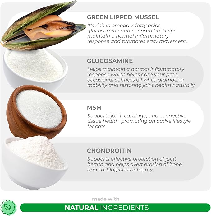 Glucosamine for Cats - 4.23oz/120g Powder - Hip and Joint Supplement for Cats with Green Lipped Mussel, MSM, Chondroitin, and Vitamin E-PawvioPets