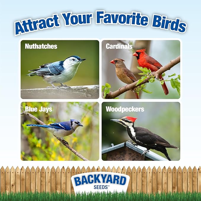 CountryMax Backyard Seeds Shelled Whole Peanuts for Woodpeckers, Birds, Squirrels & Wildlife – Premium Wild Animal Food, 10 lbs Bag-PawvioPets