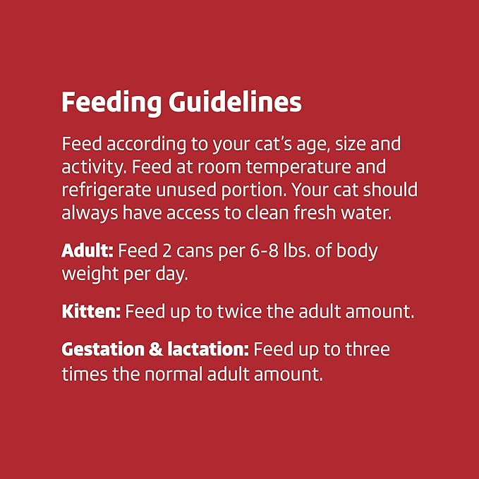 Amazon Brand - Wonder Bound Wet Cat Food, Paté, No Added Grain, 3 oz cans, Pack of 24 (Beef)-PawvioPets