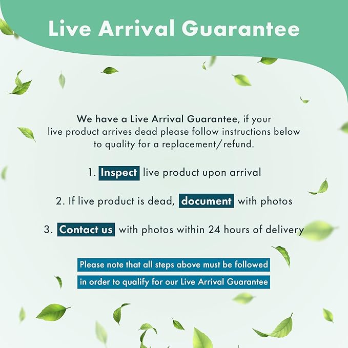 Echinodorus Ozelot Sword Live Plant for Freshwater Aquariums, Natural Fish Tank Decorations, and Aquatic Decor (1 Pot (2-3 Plants))-PawvioPets