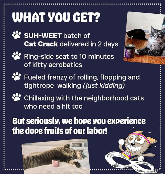 Cat Crack Catnip, Zoomie-Inducing Cat Nip Blend, North American Made & 100% Natural, Safe & Non-Addictive Catnip Treats Used to Supplement Cat Nip Toys, Spray, & Accessories (20 Cups)-PawvioPets