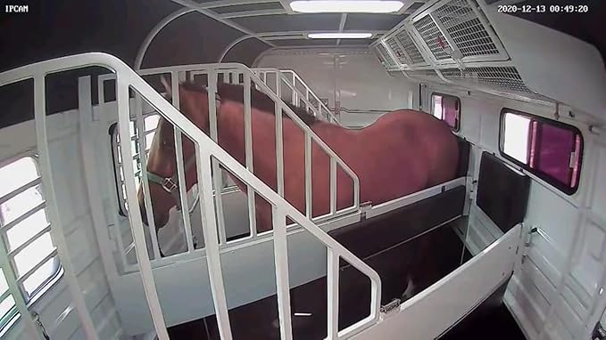 Equine Eye Voyager - Wireless Horse Trailer Camera – Live Video to Your Mobile with Night Vision, Audio - 8 Hours Battery Life - No Cell Signal Needed - Compatible with iPhone & Android Devices-PawvioPets