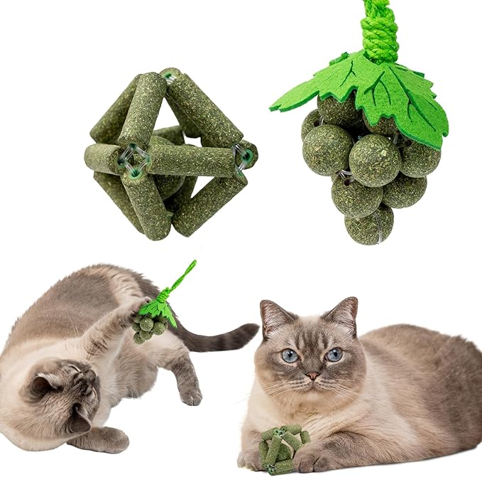 Cat Catnip Toys,2Pcs Catnip Ball for Cats,Toys for Indoor Cats,Cat Chew Exercise Toy for All Breeds and Species,Enhances Oral and Dental Health-PawvioPets