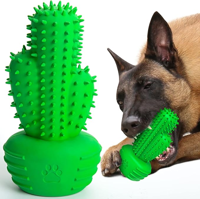 Dog Chew Toys Dog Toothbrush Stick Teeth Cleaning Brush Dental for Medium Large Dog, Puppy Christmas,Easter Birthday Gifts,Outdoor Squeaky Toys for Aggressive Chewers Tough Toys Interactive-PawvioPets