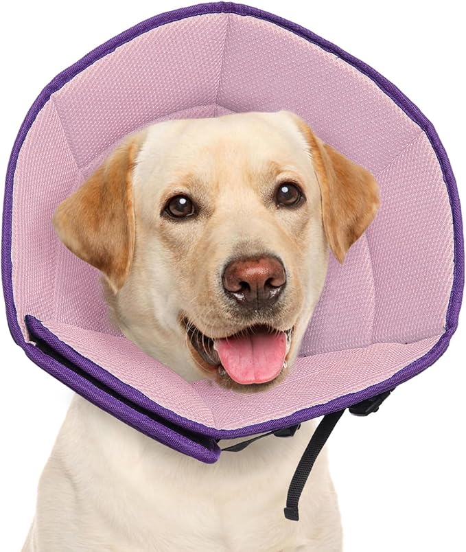Dog Cone Collar XL, Soft Cones for Large Medium Small Dogs,Adjustable Dog Cone Alternative to Stop Licking, Comfy Elizabethan Collar for After Surgery Wound Healing & Hot Spots Purple-PawvioPets