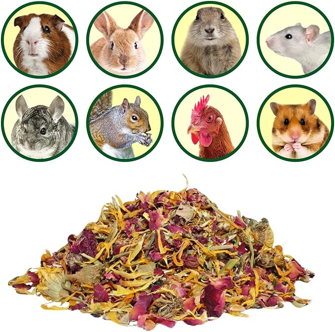 Flower Fusion Treat - Healthy Natural Dried Flower Herbivore Treat - Chinchillas, Guinea Pigs, Rabbits, Prairie Dogs, Degus, Hamsters, Rats, Squirrels, Sugar Gliders & Other Small Pets (0.85 oz)-PawvioPets