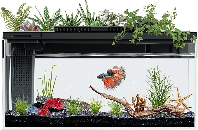 3.7 Gallon Betta Fish Tank self Cleaning,Smart Aquarium Aquarium kit with Filter Light Water Pump-PawvioPets
