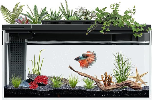 3.7 Gallon Betta Fish Tank self Cleaning,Smart Aquarium Aquarium kit with Filter Light Water Pump-PawvioPets