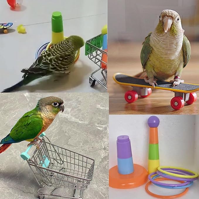 6pcs Interactive Puzzle Toy Set for Small Parrots - Training, Stress Relief, Include Coin Box, Bell Ball, Skateboard & Ferrule Toy for Bird Budgies, Cockatiels, Parakeet etc-PawvioPets