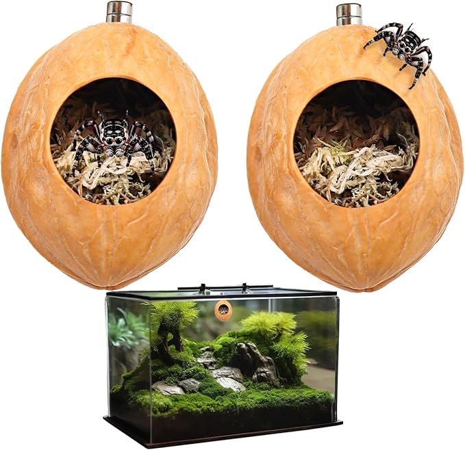 2 Pack Jumping Spider Enclosure Accessories with Walnut Shell Moss and Magnet, Natural Material Jumping Spider Hide-PawvioPets