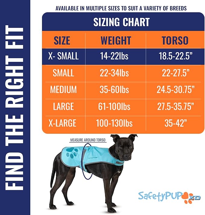Dog Reflective Vest – Hi-Vis Fluorescent Visibility That Helps to Safeguard Your Pet On/Off Leash in Urban & Rural Areas (Teal, X-Small)-PawvioPets