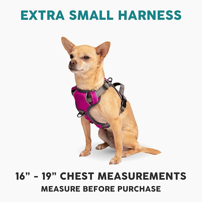 Embark Adventure Dog Harness, No-Pull Reflective Trim Dog Harness for Small, Medium & Large Dogs - Military Grade Nylon, 2 Leash Clips & Gel Lined Handle. Soft & Padded Puppy Dog Vest for Any Breed-PawvioPets