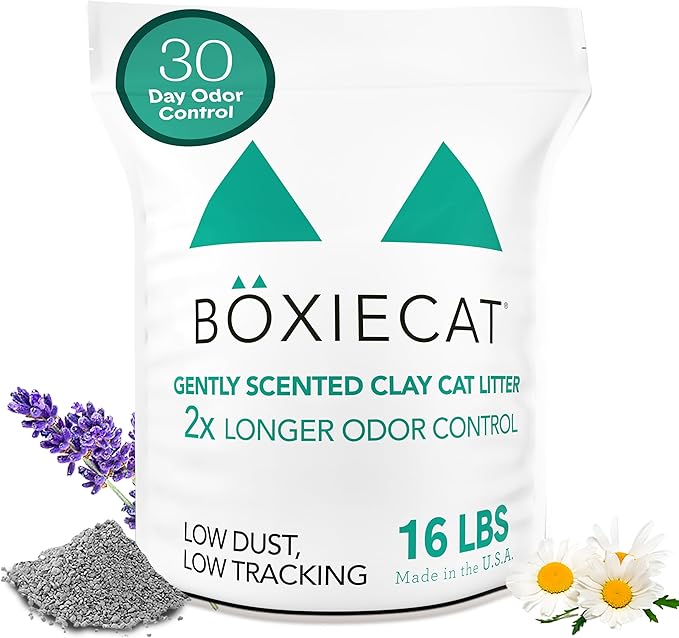 Boxiecat Gently Scented Premium Clumping Clay Cat Litter-16-Pounds-PawvioPets
