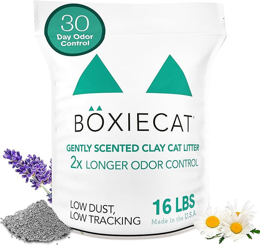 Boxiecat Gently Scented Premium Clumping Clay Cat Litter-16-Pounds-PawvioPets